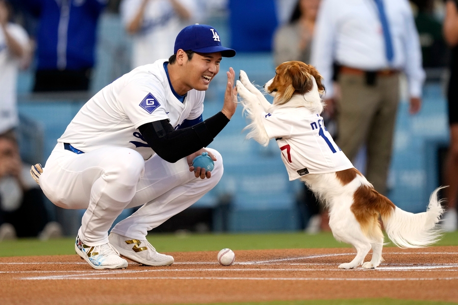 大谷が始球式を見事に務めた愛犬デコピンとハイタッチ（写真・AP/アフロ）