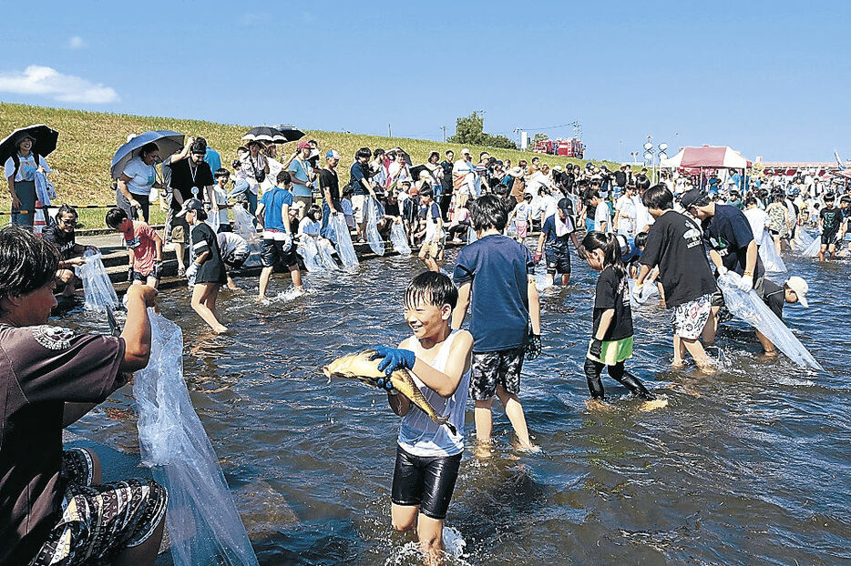 コイのつかみ捕りを楽しむ子ども＝高岡市福岡町の土屋親水公園