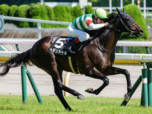 連勝を狙うヘデントール(今年6月撮影、ユーザー提供：藤田ことねさん)