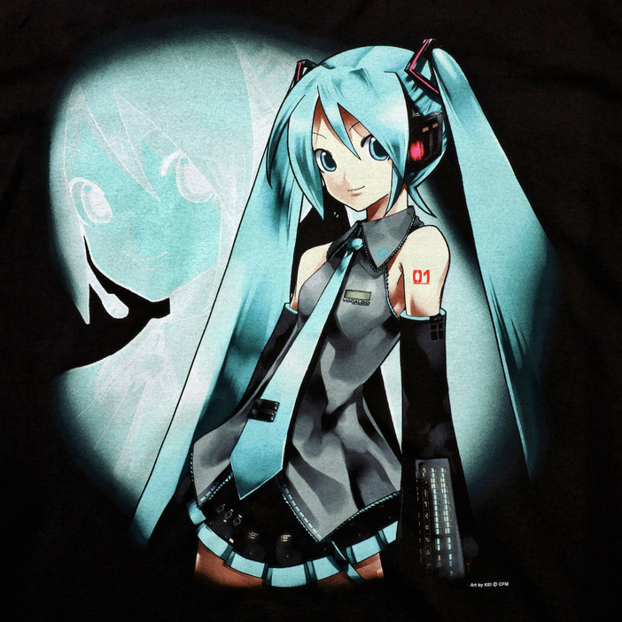 HATSUNE MIKU × GEEKS RULE 15 SILKSCREEN PRINTING T SHIRT vol.01