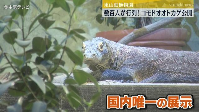 中京テレビNEWS