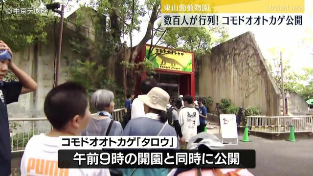 中京テレビNEWS