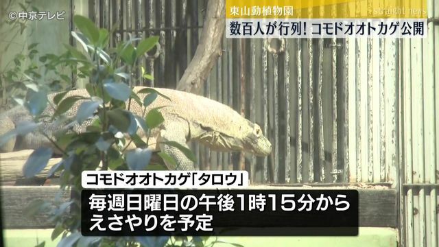 中京テレビNEWS