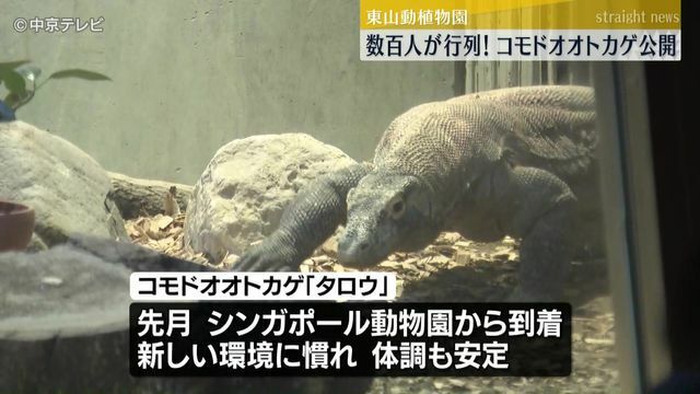 中京テレビNEWS