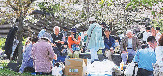 大阪城公園で開かれた「ひの郷会」の花見会（2023年4月、大阪市で＝同会提供）