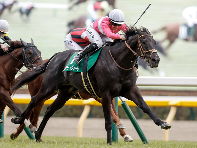 重賞連勝を目指すサクラトゥジュール(撮影：下野雄規)