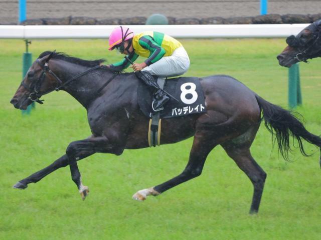 無傷の3連勝を目指すバッデレイト(今年6月撮影、ユーザー提供：ほてらみさん)