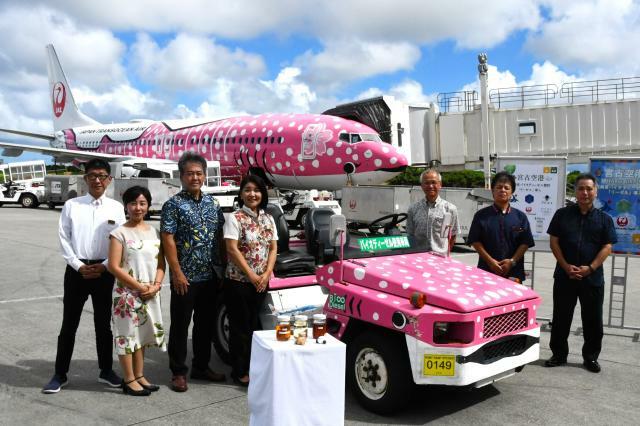 JAL宮古空港所の荻堂美枝子所長（前列右）、アトラスの来間和博社長（同2人目）、リーゼル協会の星子桜文会長（同3人目）、嘉数登副市長（後列左）と関係者の皆さん＝23日、宮古空港駐機場