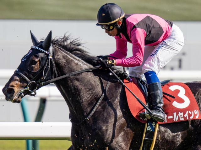 連勝を狙うオールセインツ(今年5月撮影、ユーザー提供：つんさん)