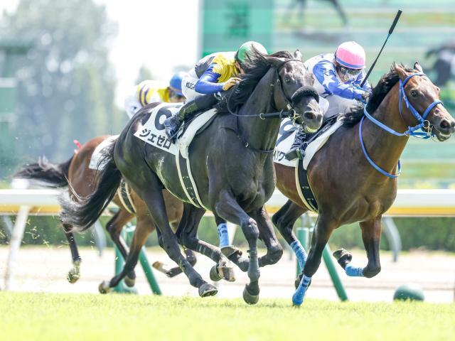 1番人気に応え新馬戦を制したジェゼロ(撮影：下野雄規)