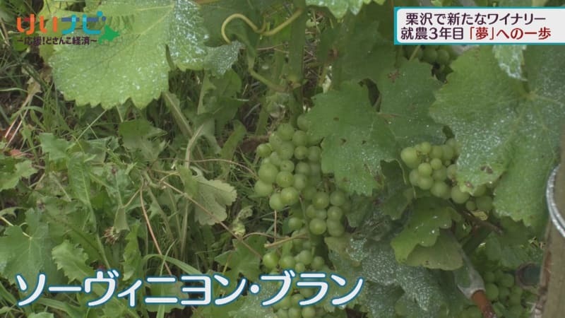 （写真：テレビ北海道）