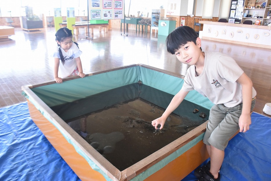 生き物に触れて楽しむ子どもたち（新光産業きらら浜自然観察公園で）