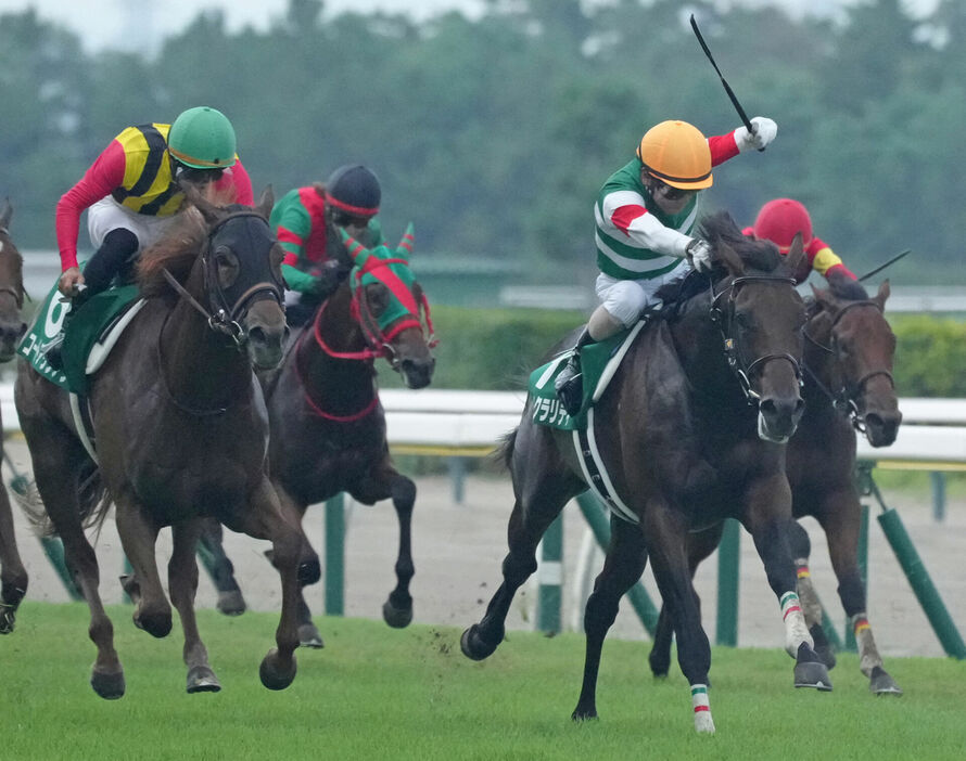 新潟2歳S・トータルクラリティと北村友一騎手 (C)スポニチ