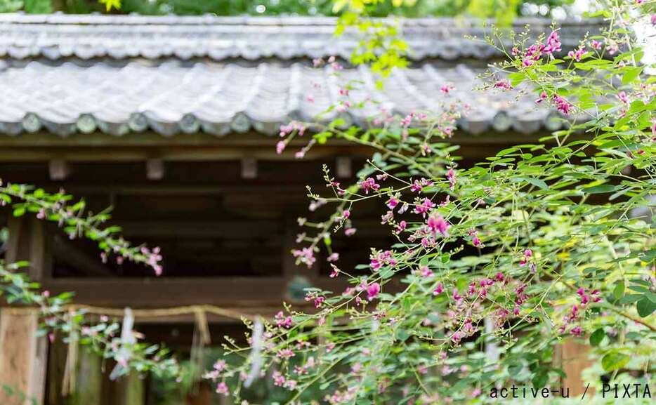 写真：梨木神社