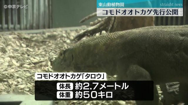 中京テレビNEWS