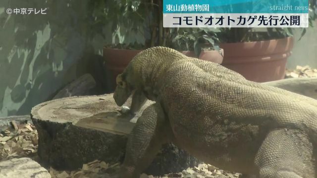 中京テレビNEWS