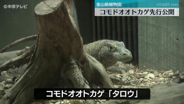 中京テレビNEWS