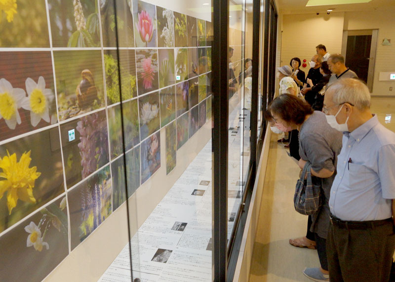 宮沢賢治作品に登場する植物を集めた写真展「イーハトーブの春　賢治の花木」