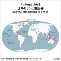 【Infographie】世界のサンゴ礁分布