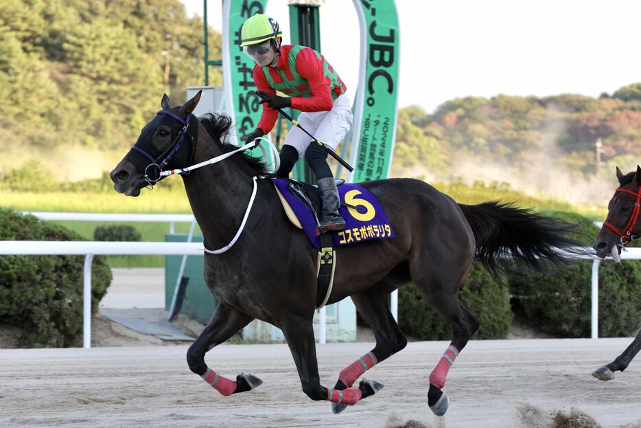 九州チャンピオンシップ・コスモポポラリタと石川慎将騎手 (C)佐賀県競馬組合