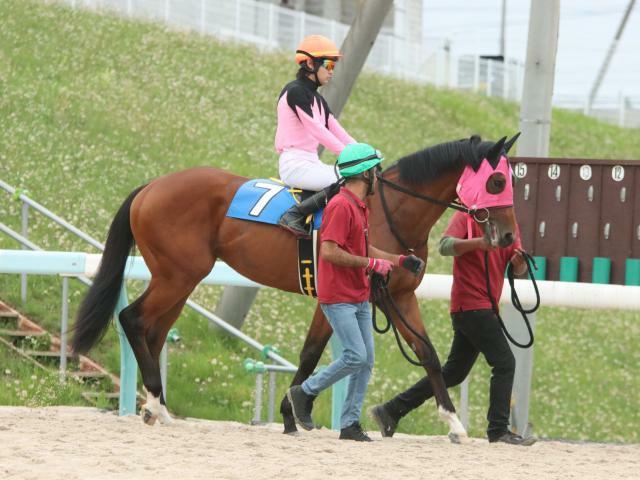 サッポロクラシックCに出走予定のサウンドバッハ(撮影：山下広貴)