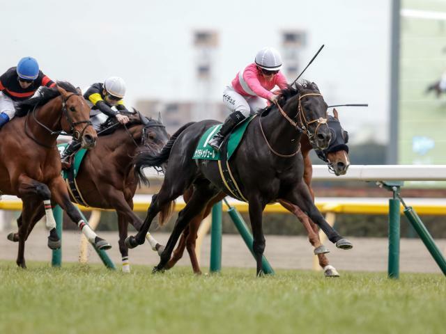 連勝を狙うサクラトゥジュールは2枠4番(撮影：下野雄規)