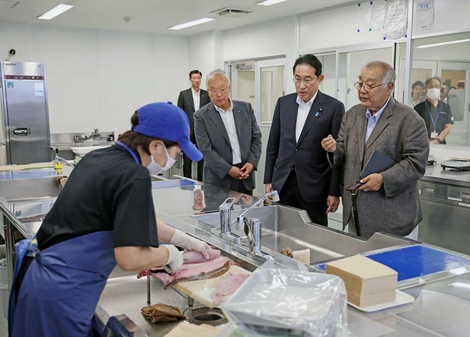 福島県いわき市の小名浜魚市場で魚の下処理の様子を視察する岸田首相。右端は福島県漁連の野崎哲会長＝24日午後（代表撮影）