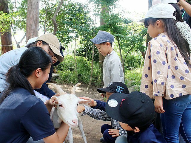 中央農業高生徒（左手前）に教わりながら、ランにそっと触れる子どもたち