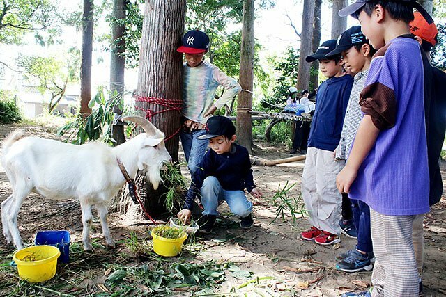 「あ、この草の方が食べてくれる」などと盛り上がりながら、餌やりをする子どもたち