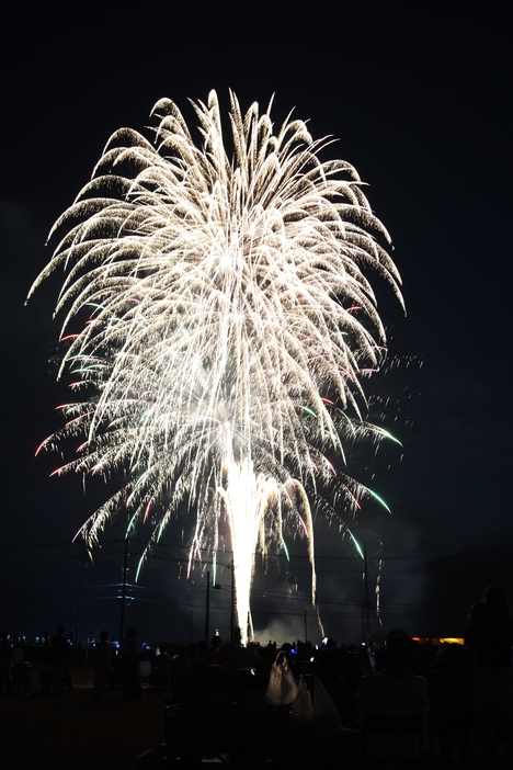 夏の夜空を彩る花火=岡山県津山市で