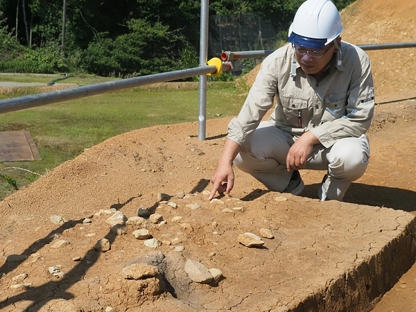 今回の調査で発掘された礫群