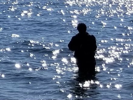 夏の海でも魚は釣れる（撮影：須藤雄飛）