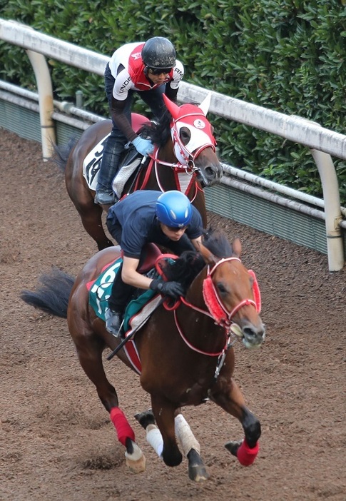 52キロの軽ハンデを活かし切りたいグランスラムアスク(後)