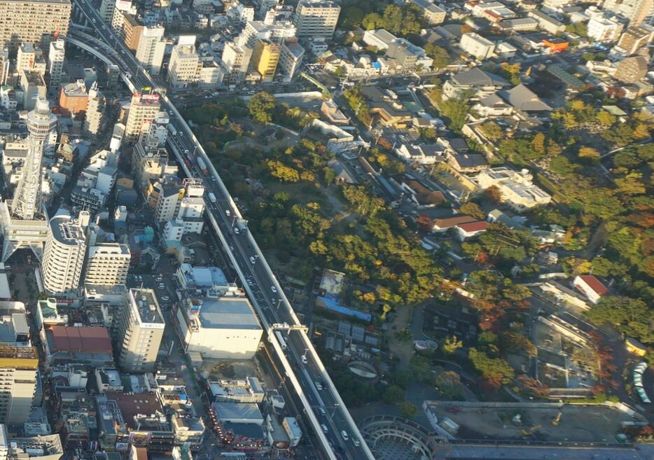[写真]天王寺動物園（右側）＝2019年11月15日、大阪市天王寺区付近で（左は通天閣）
