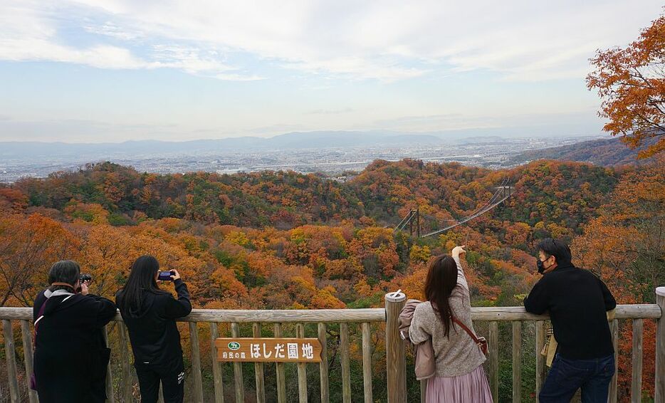 この展望台までは、公園事務所付近からは山道を歩いて約30分ほどだが、カップルの姿もみられた