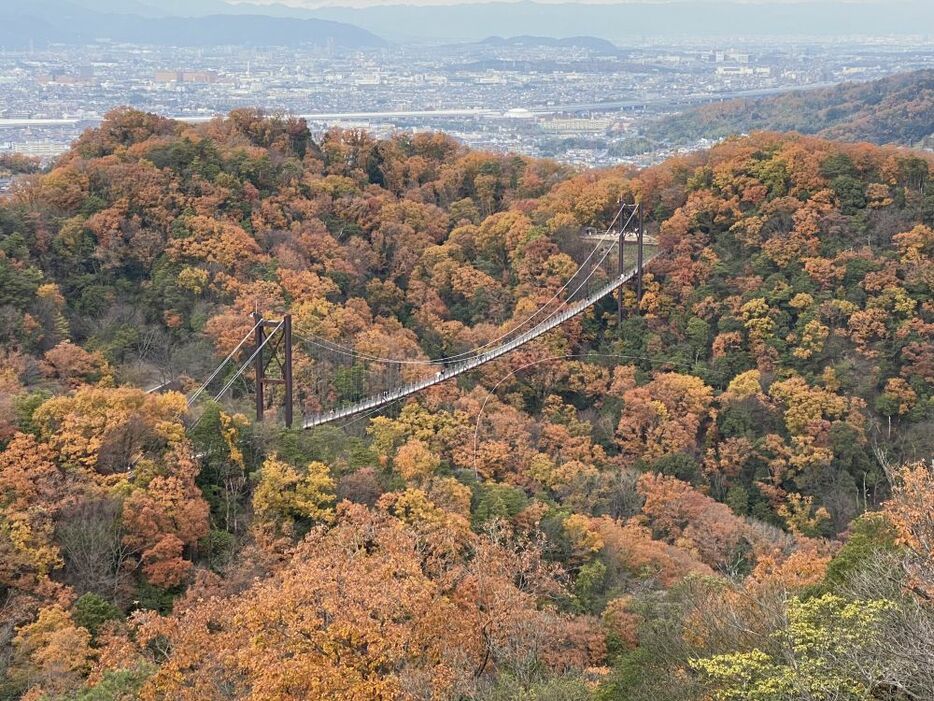 紅葉に覆われるようにみえる星のブランコ