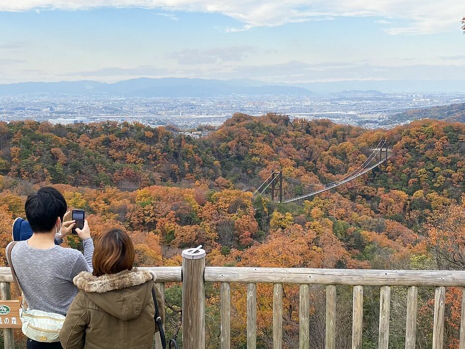 紅葉が見ごろを迎えていた