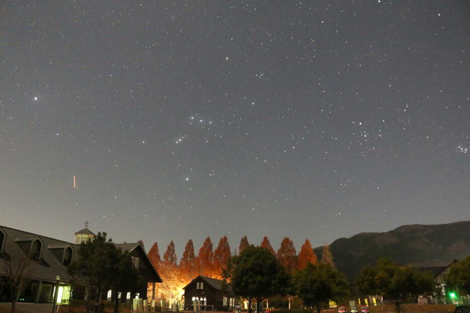 夜明け前のメタセコイア並木周辺からはきれいな星空がみられた＝7日未明