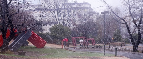 [写真]強く降る雪で目の前が真っ白に（東京都港区の檜町公園）