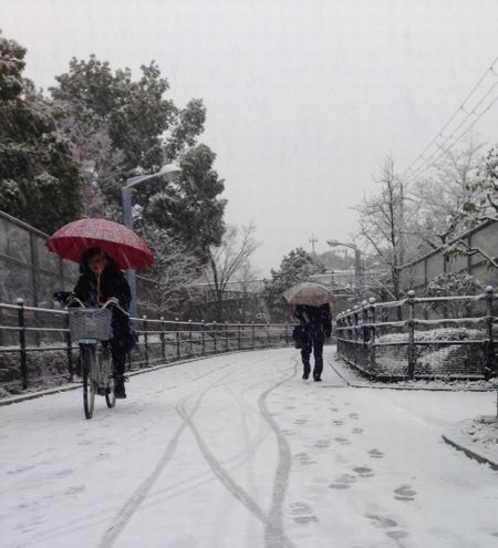 [写真]人があまり歩かない道は雪が雪が積もりやすいので注意が必要＝14日午前7時45分ごろ、大阪市天王寺区で