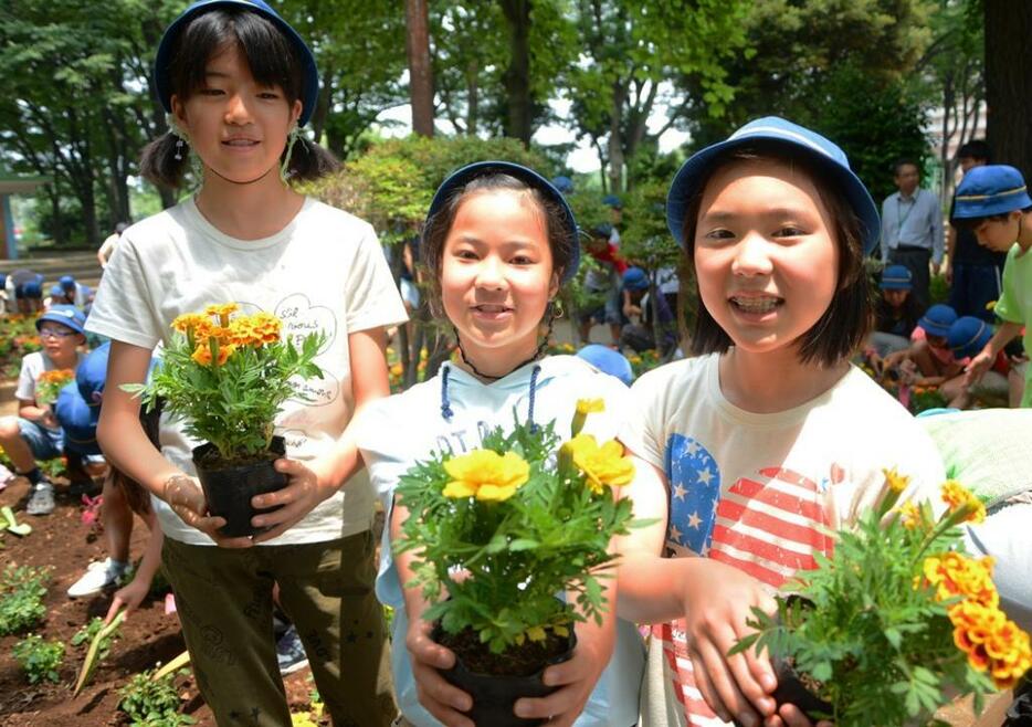 花を植える小学生