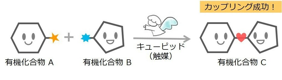 [イラスト]クロスカップリング反応では、キューピッド役の触媒の力を借りて、2つの異なる形の有機化合物（A、B）を「炭素」同士でくっつけることで新しい有機化合物（C）をつくる