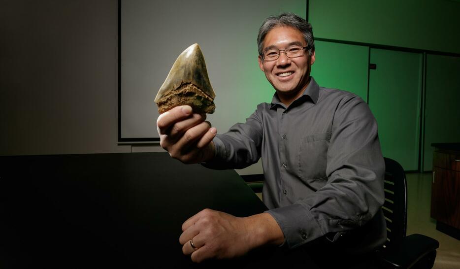 新生代中期の巨大サメ「メガロドン」の歯を手にするDr. Kenshu Shimada。その圧倒的な大きさは海生動物の進化史上、最大級の捕食者として知られる（写真提供：Dr. Kenshu Shimada）