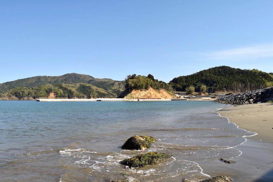 大谷川浜。鮫浦湾の最奥部にあたる。現在は漁港の復旧工事中。さらに防潮堤工事や宮城県道の再建工事が続く。ホタテとホヤの養殖業が盛ん。