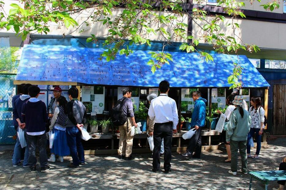 [写真]多くの「山菜好き」が訪れる「春の山菜展」