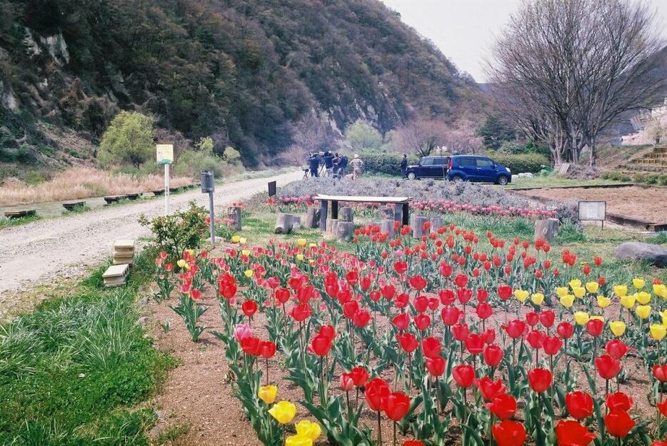 [写真]春らんまんの向こうの撮影陣