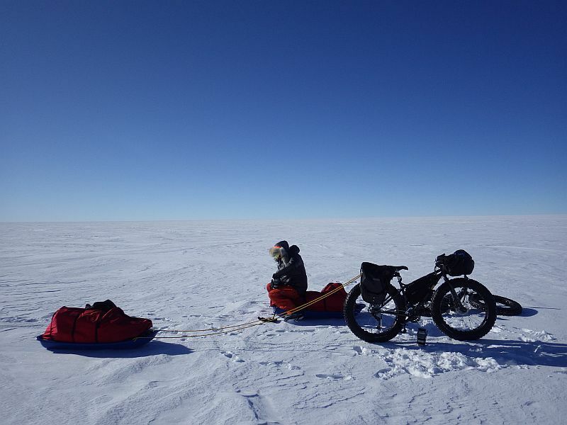 [写真]広大な南極でケンカした