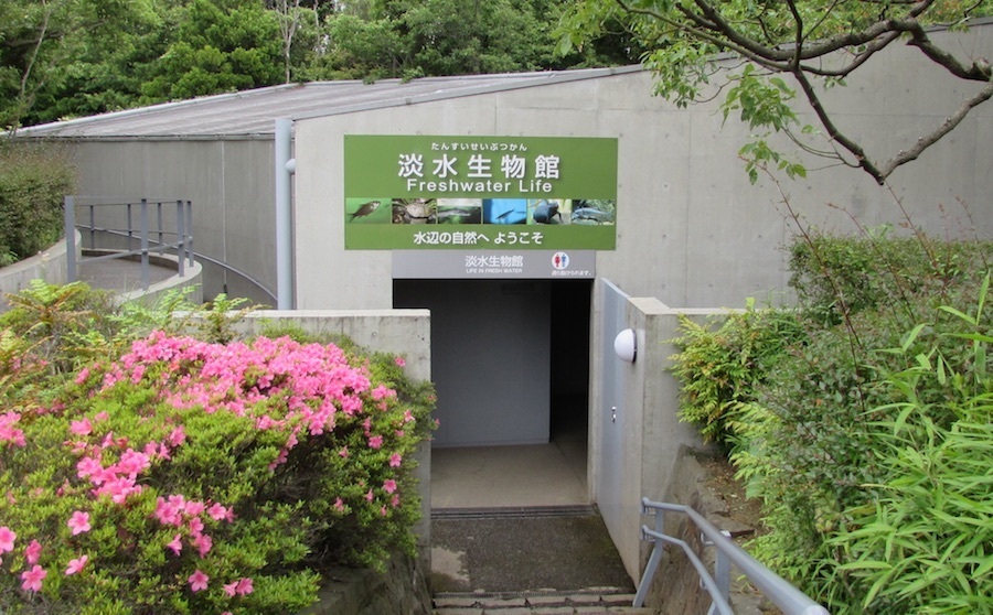 葛西臨海水族園の淡水生物館