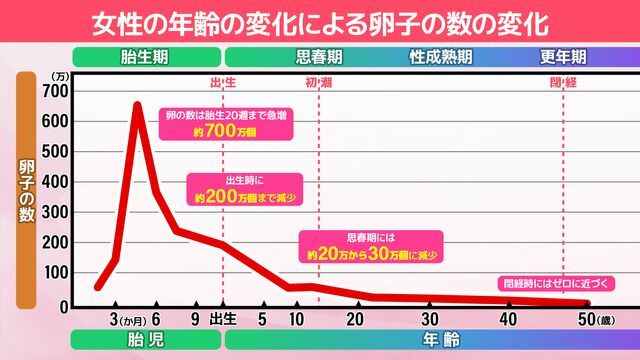 女性の年齢の変化による卵子の数の変化