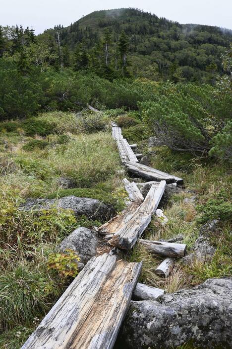 管理が不十分で荒廃が進んだ中部山岳国立公園の登山道＝2022年9月、富山市